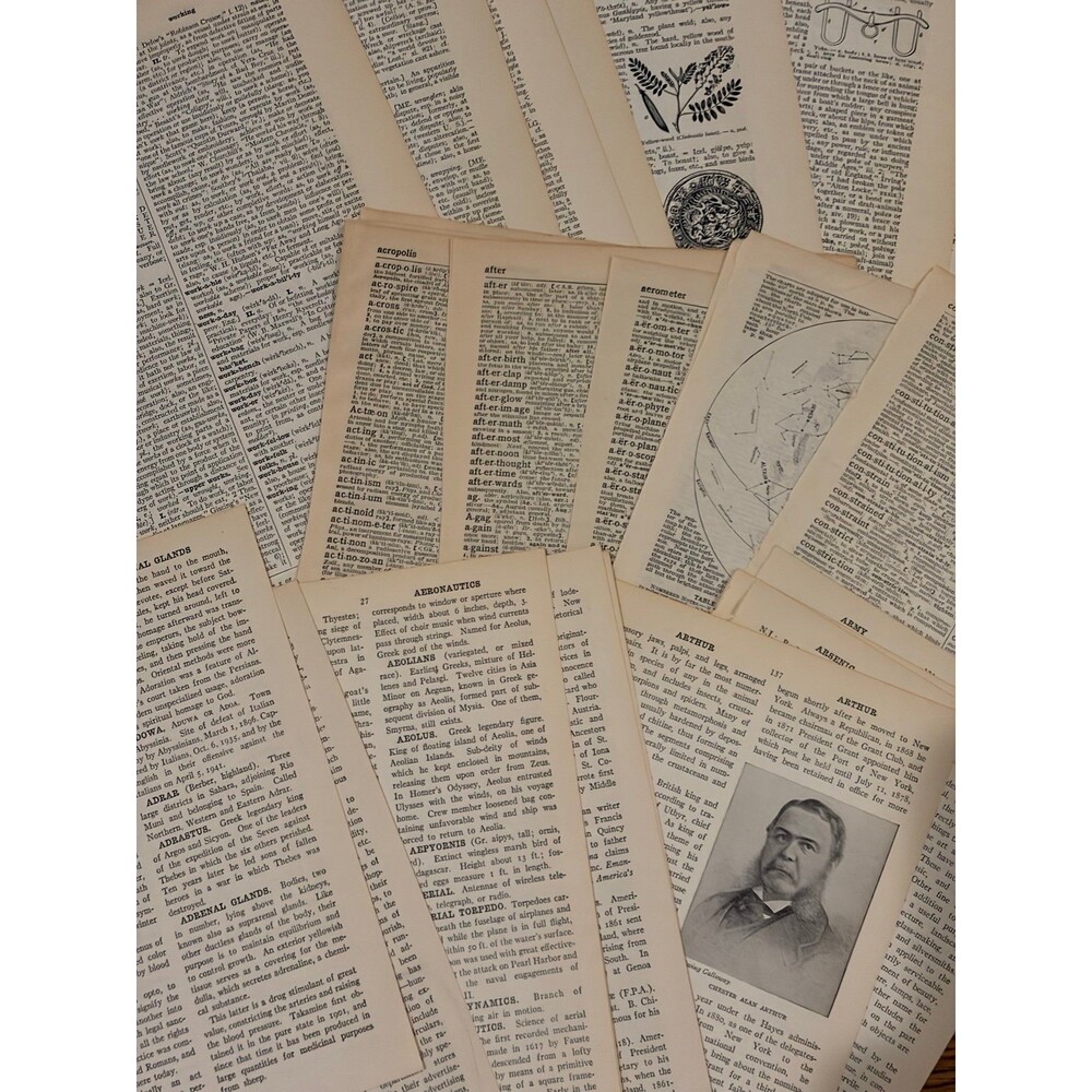 Vintage Dictionary Pages (30) Junk Journal Happy Mail